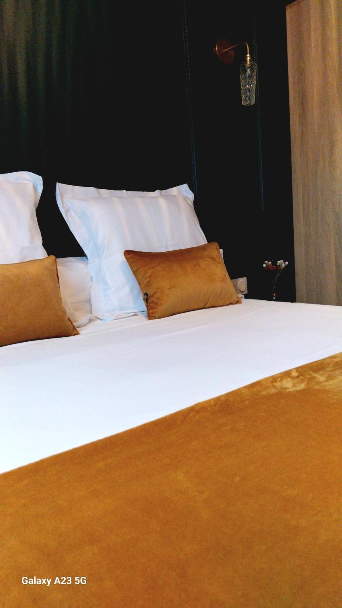 "Chez Lyly Et Juju" Piscine&Sauna Calme 3Chambres Angers Room photo